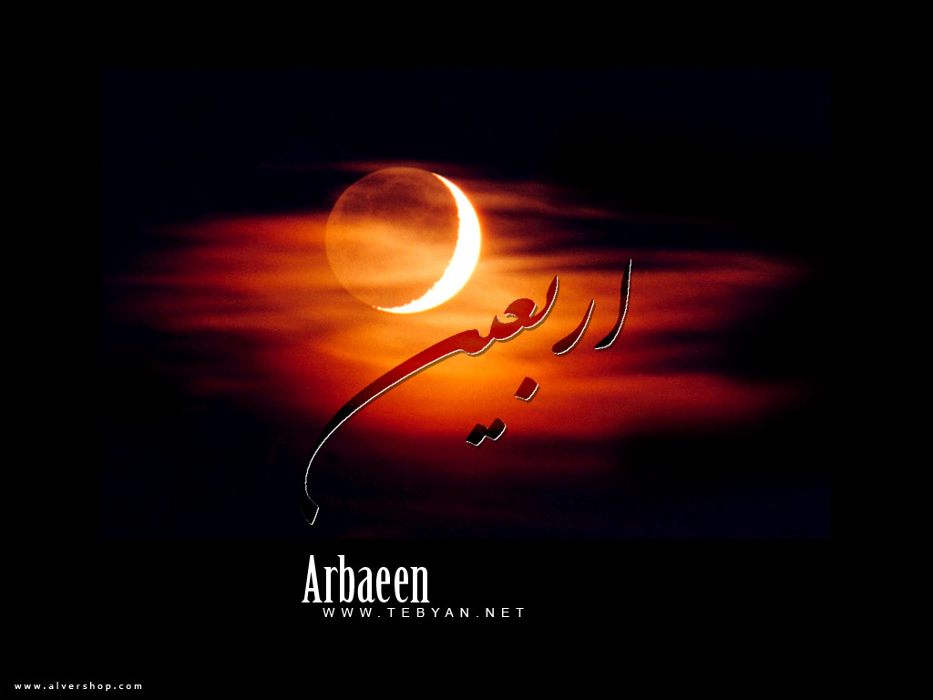 Arbein[www.Alvershop.com]18.jpg